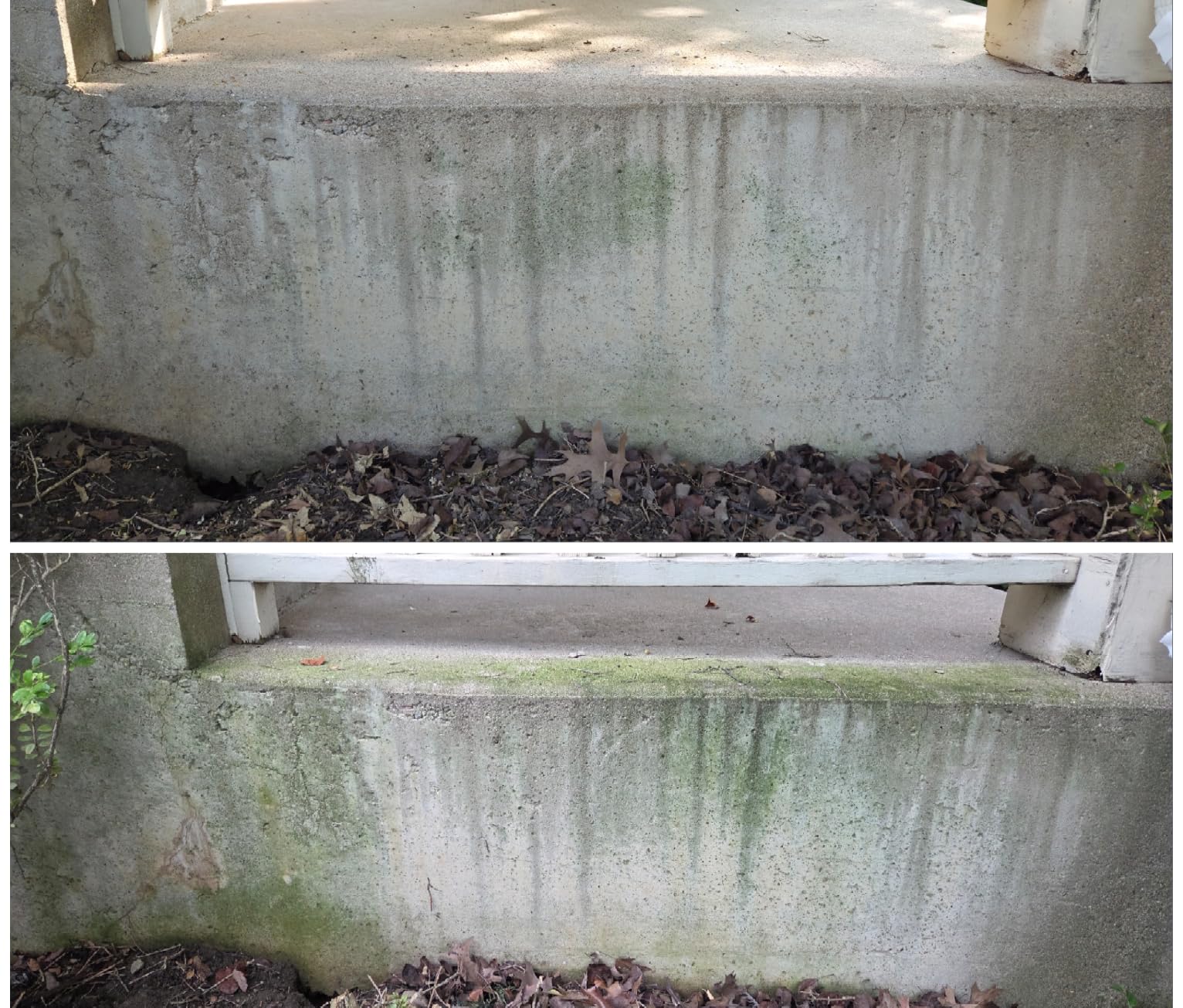 Wet & Forget Outdoor Cleaner & Stain Remover - Mold, Mildew & Algae, 64oz customer photo 2