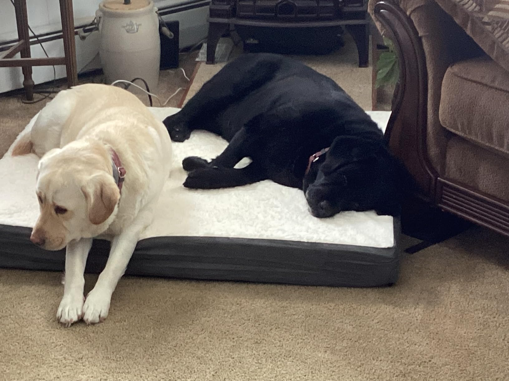 Orthopedic Dog Bed - 2-Layer 44x35-Inch Memory Foam Pet Mattress with Machine-Washable Sherpa Cover for Large Dogs up to 100lbs by PETMAKER (Gray) customer photo 2