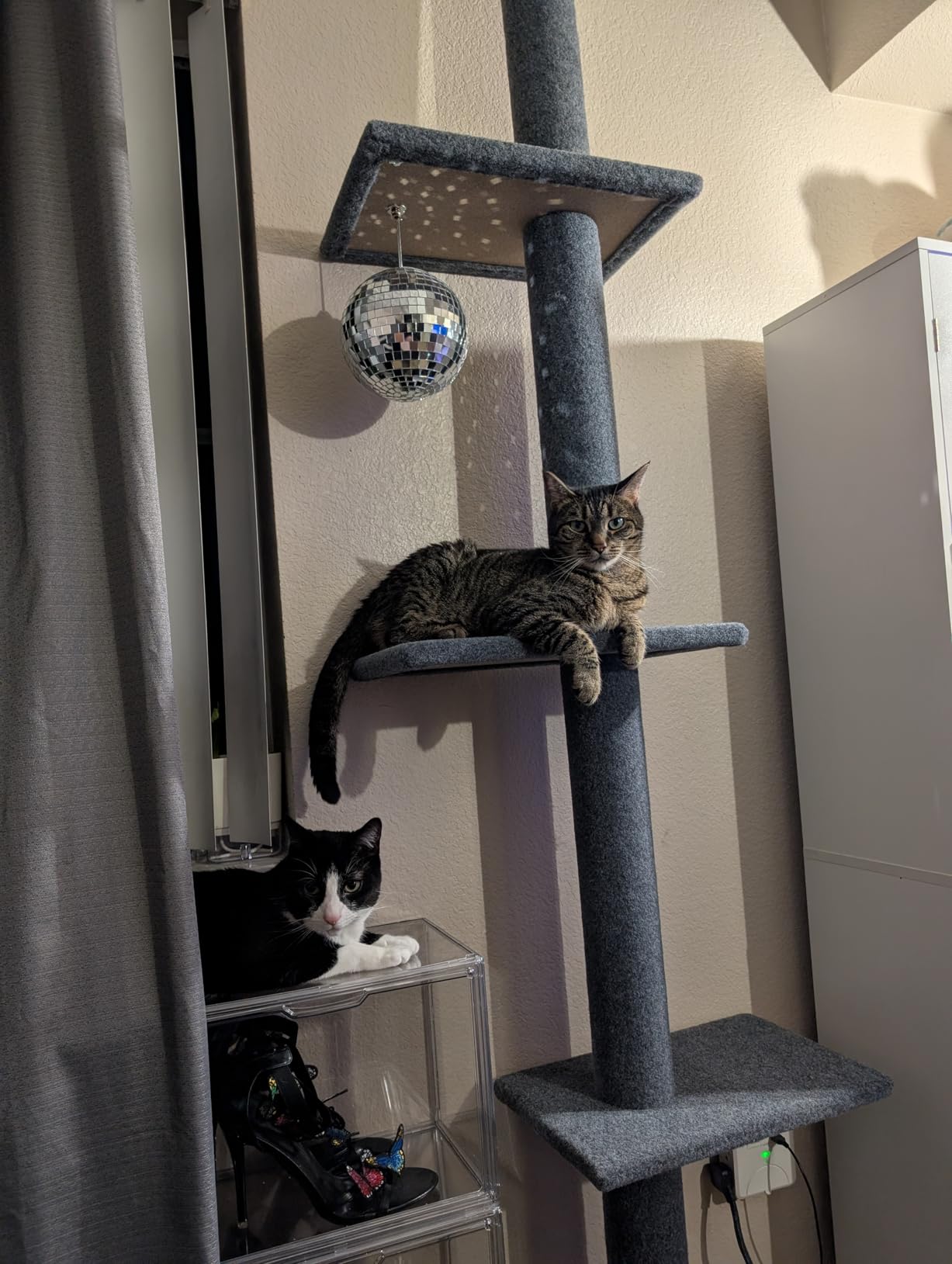 Cat Craft Cat Tree Floor to Ceiling 95-108