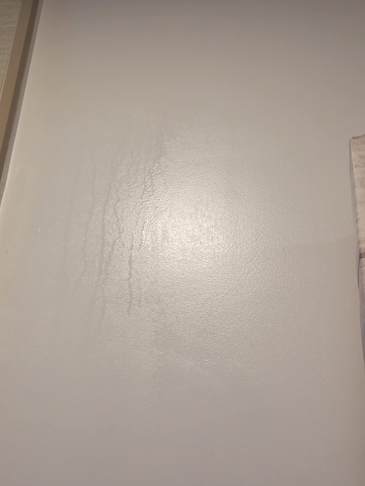 Panasonic FV-0511VQC1 WhisperSense Fan, Motion + Humidity Sensor, 50-110CFM customer photo 2