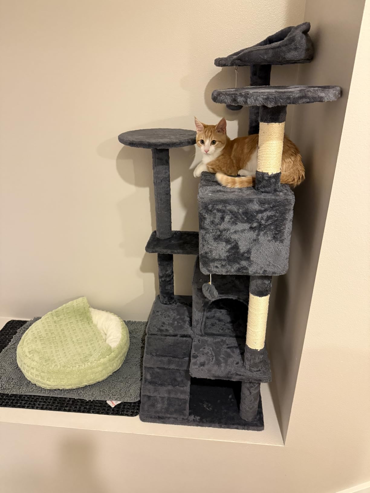 Yaheetech 54in Cat Tree Tower, 2 Caves, Kitten-Ear Perch & Scratching Posts customer photo 2