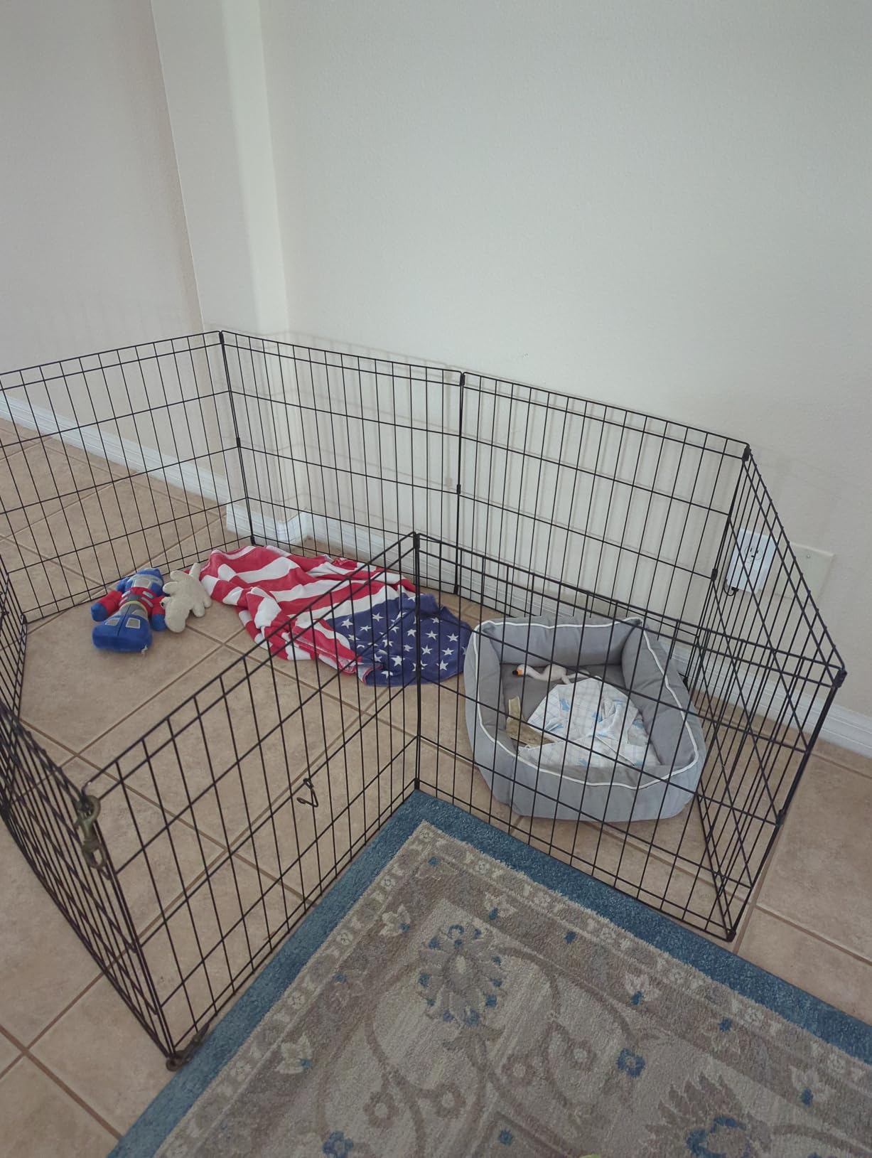 New World by MidWest 30-Inch Exercise Pen, No Door, 16 Sq Ft Play Area customer photo 2