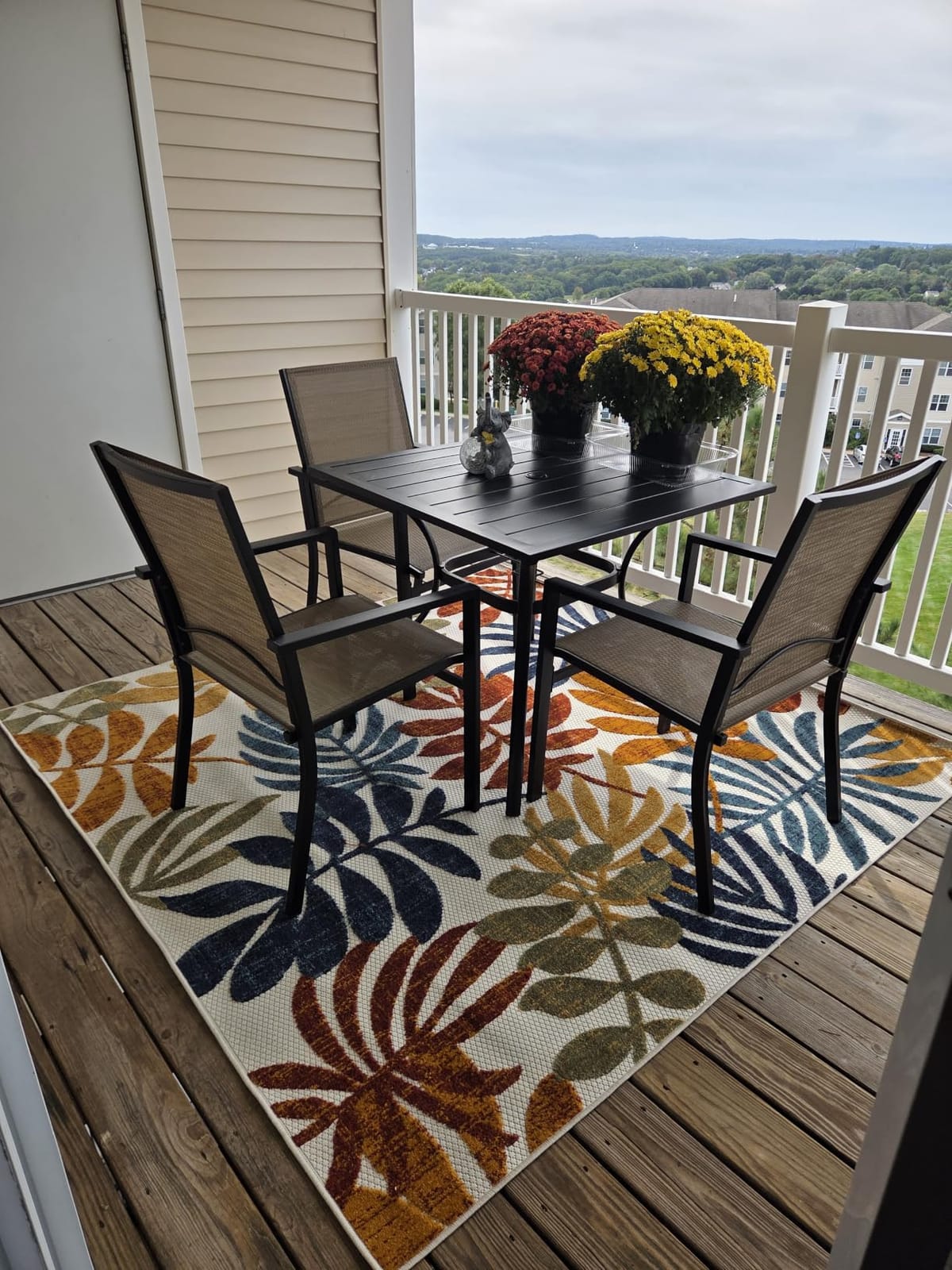 SAFAVIEH Cabana Outdoor Area Rug 5'3