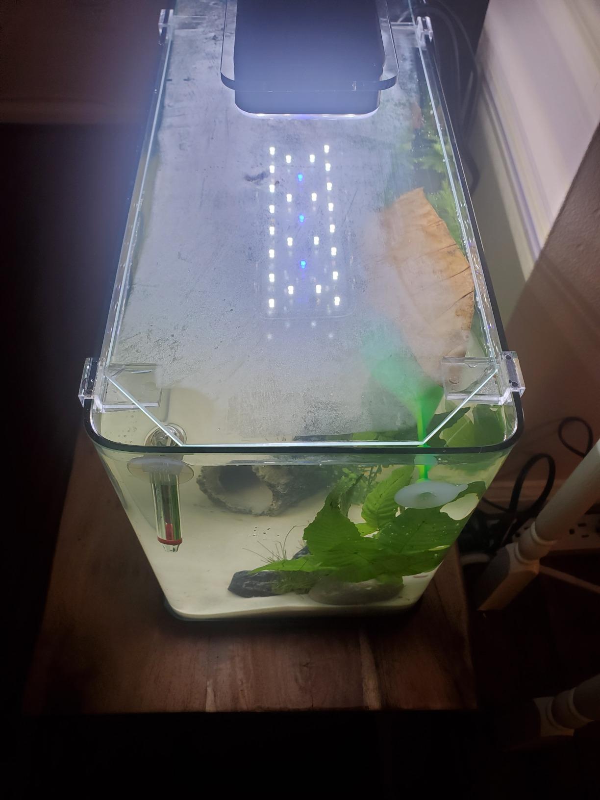 Aquatop Pisces Bullet Shaped Glass Aquarium, 5-Gal Nano Tank – 53 GPH – Touch Sensitive LED Light – All-in-One Kit for Fresh & Saltwater Fish customer photo 2