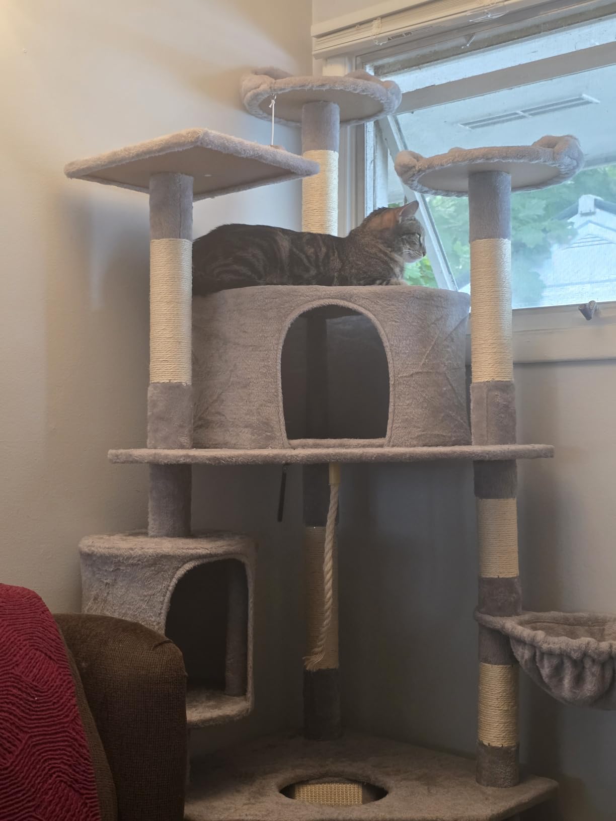 Yaheetech 79in Multi-Level Cat Tree for Multiple Cats with 9 sisal Posts customer photo 1