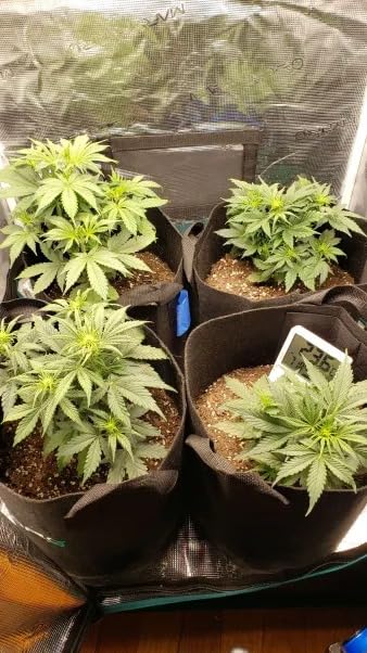 MARS HYDRO 3x3 Smart Grow Tent Kit with TS1000 with iControl Controller customer photo 1