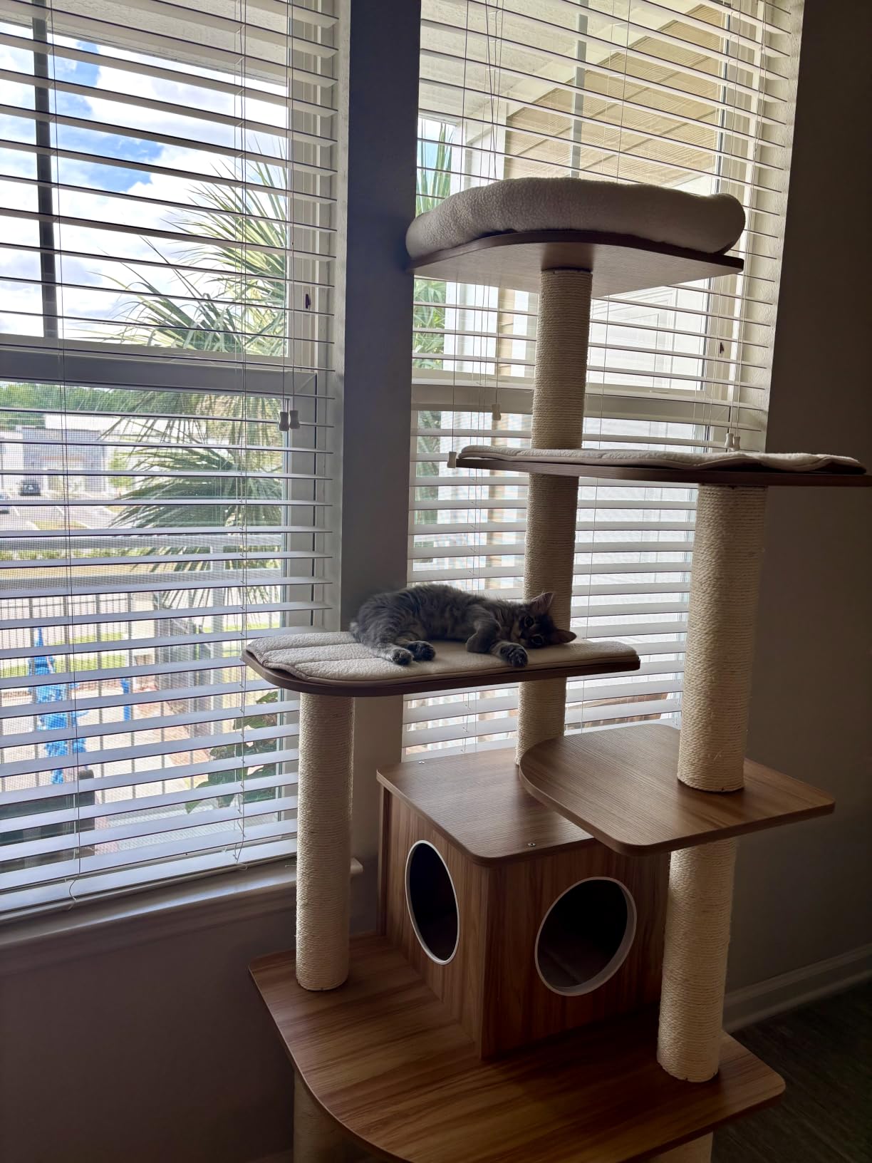 Tangkula 69 Inch Wooden Tall Cat Tree customer photo 1