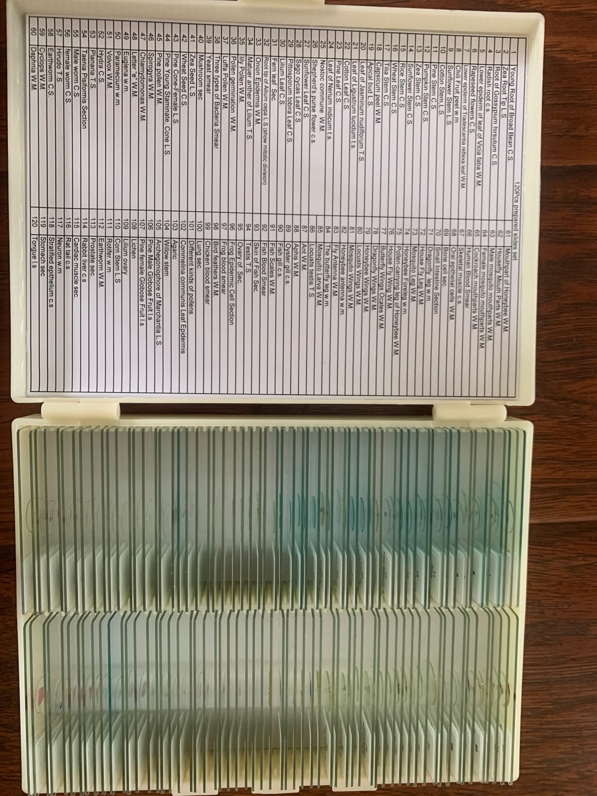 120 Microscope Slides with Specimens for Kids: Prepared Slides for Science customer photo 1