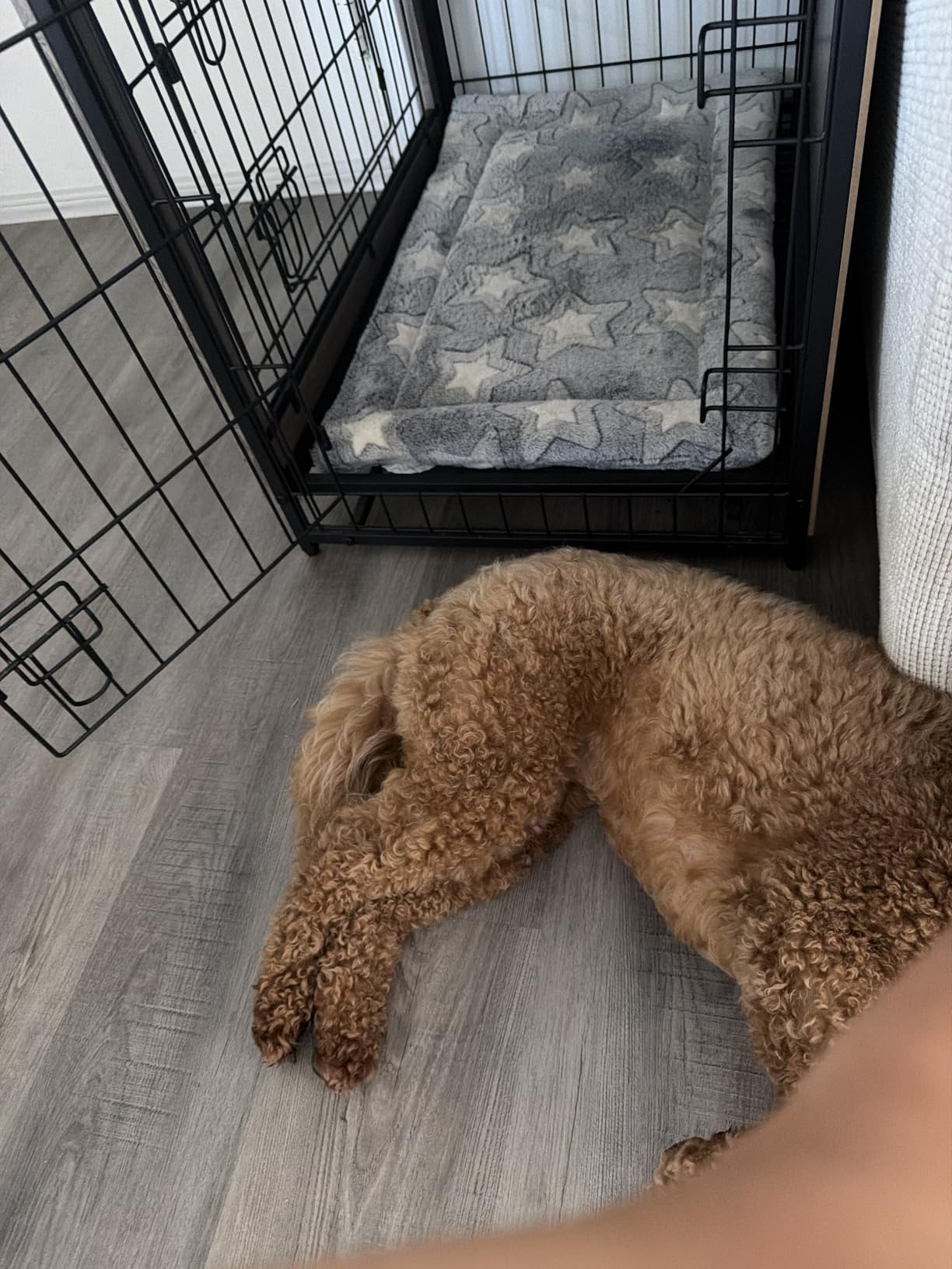 EMPSIGN Dog Crate Pad for 30
