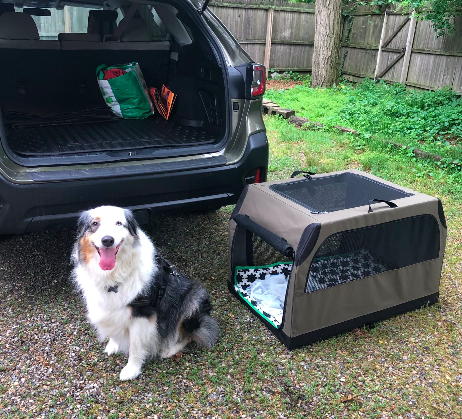 PETSFIT Soft Dog Crate, Travel Dog Crate - 24 Inch Sturdy Adjustable Structure, Easy to Set Up, Portable Dog Car Crate, Light Tough with 3 Mesh Doors Brown customer photo 2