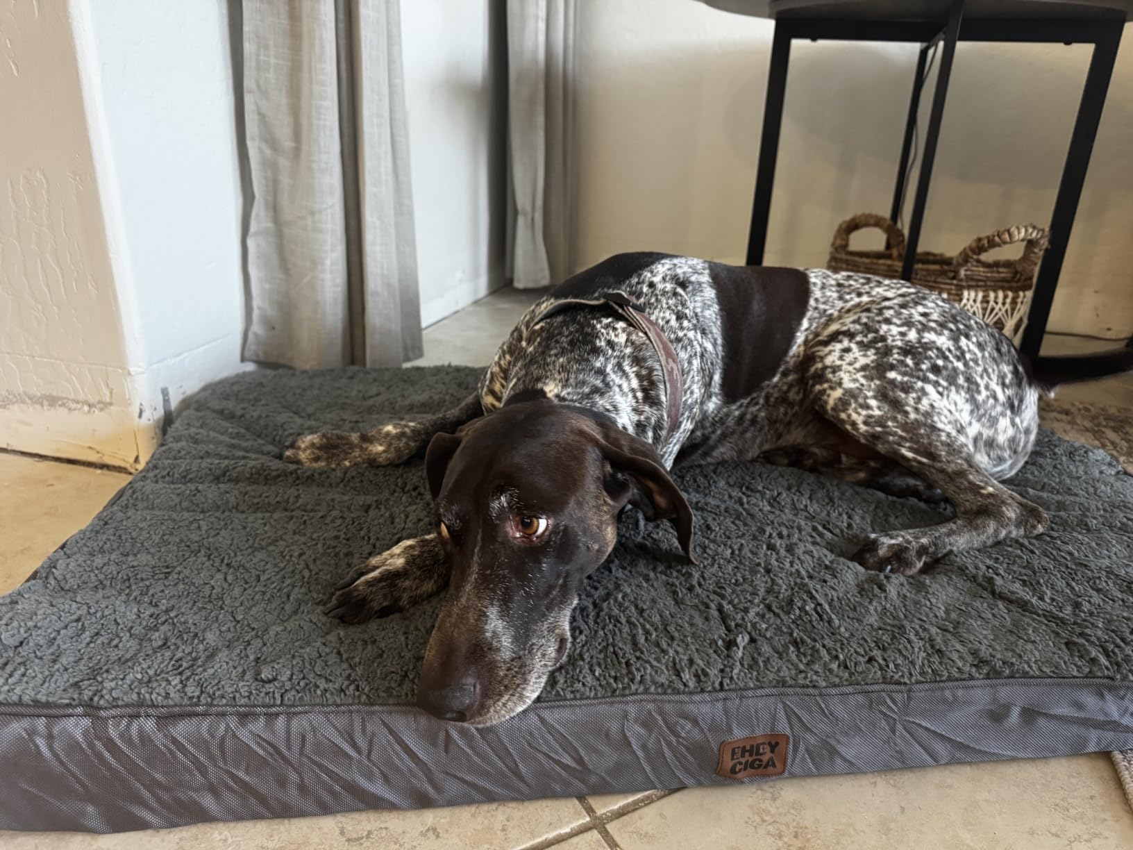 EHEYCIGA Orthopedic Dog Bed Large with Removable Washable Cover, 41IN Grey customer photo 1