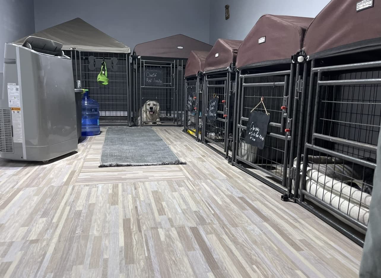 8'*4'*5' Dog Kennel Outdoor with Roof Cover for Large Dogs Heavy Duty Dog Fence Welded Wire Catio Retriever Dog Playpen customer photo 2