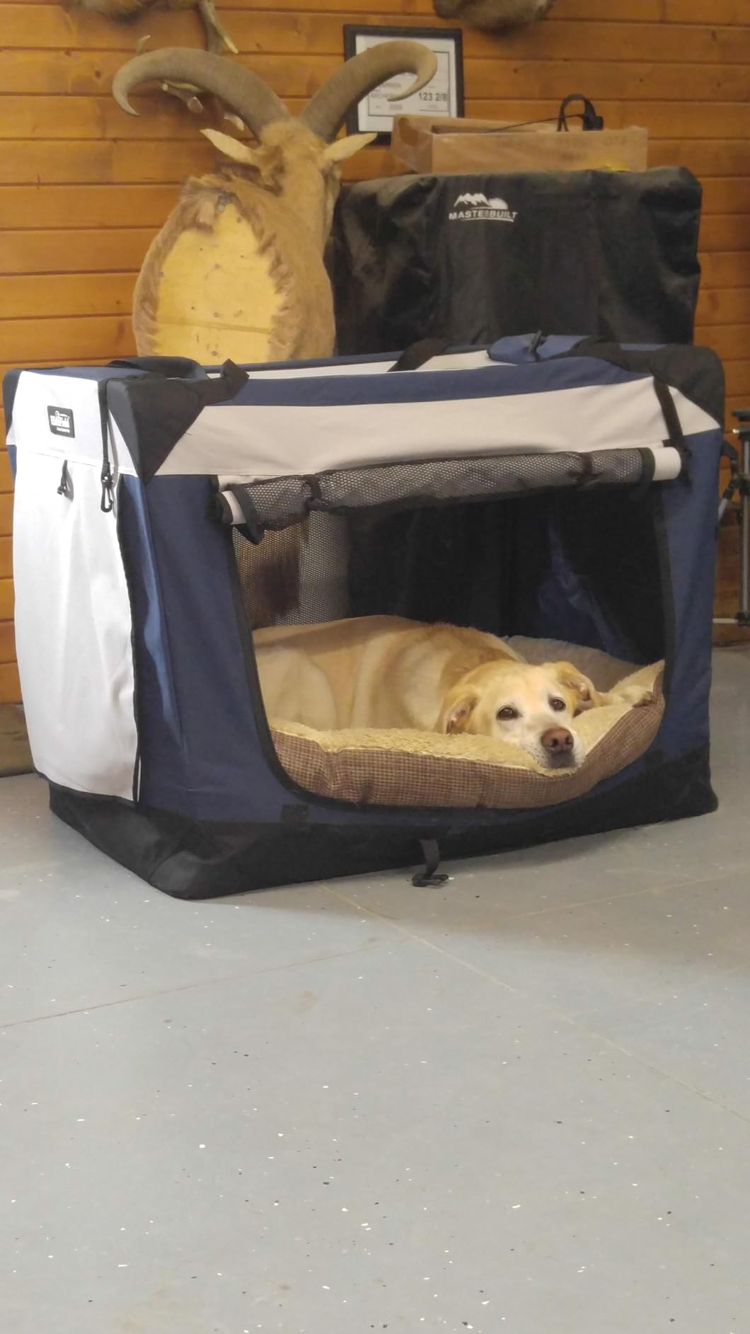 EliteField 4-Door Folding Soft Dog Crate with Curtains (2-Year Warranty) customer photo 1