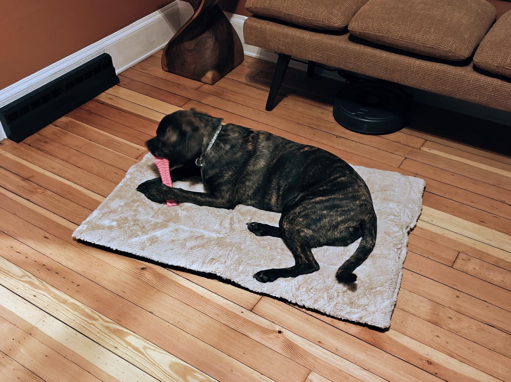 Dog Crate Pad Washable Dog Bed for Crate Medium Cozy Mat 36-Inch Gray customer photo 1