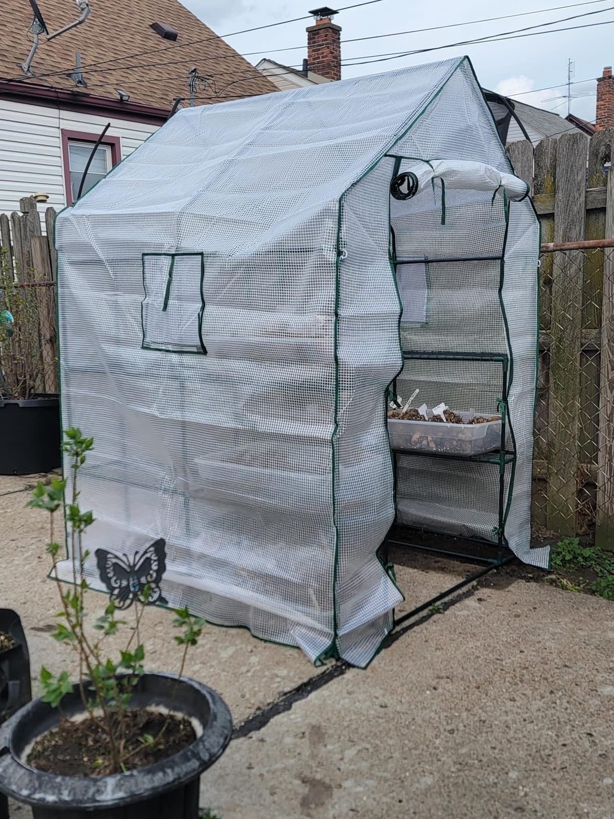 56x55x78 Walk-in Greenhouse for Outdoors, 3-Tier Plant House with 8 Shelves customer photo 2