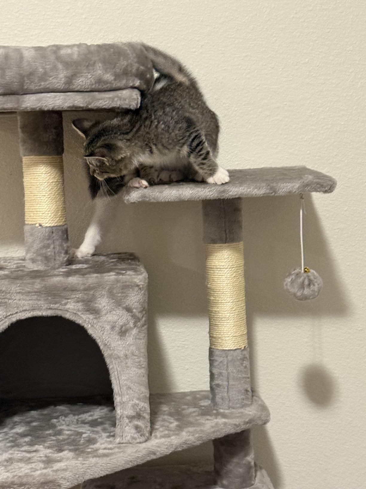 Feandrea Cat Tree, 59.5-Inch Tall Cat Tower, Multi-Level Condo, Light Gray customer photo 2
