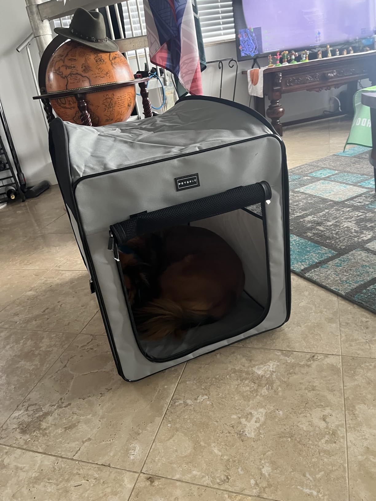 Petsfit Collapsible Dog Crate,Travel Crate for Cat/Puppy,Pop Up Small Pet Cage for Indoor/Outdoor,Lightweight Soft Dog Kennel Carrier for Small Dogs,Grey customer photo 1
