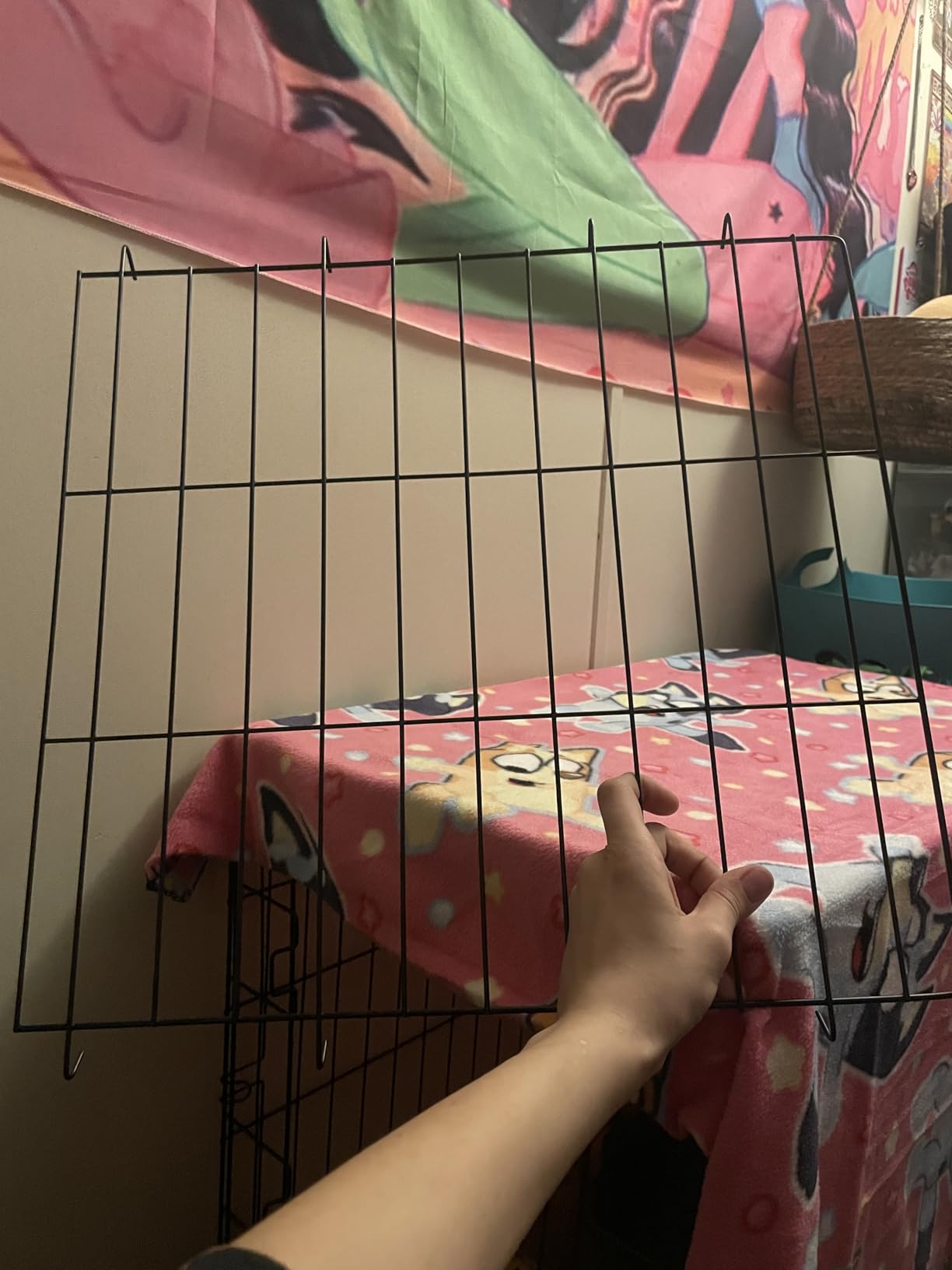 CAPHAUS Foldable Dog Crate Wire Metal Dog Kennel w/Divider Panel, Leak-Proof Pan & Protecting Feet, Single & Double Door, Small, Medium & Large Dog Crate Indoor Wire Dog Cage, 36” w/Double Doors customer photo 1