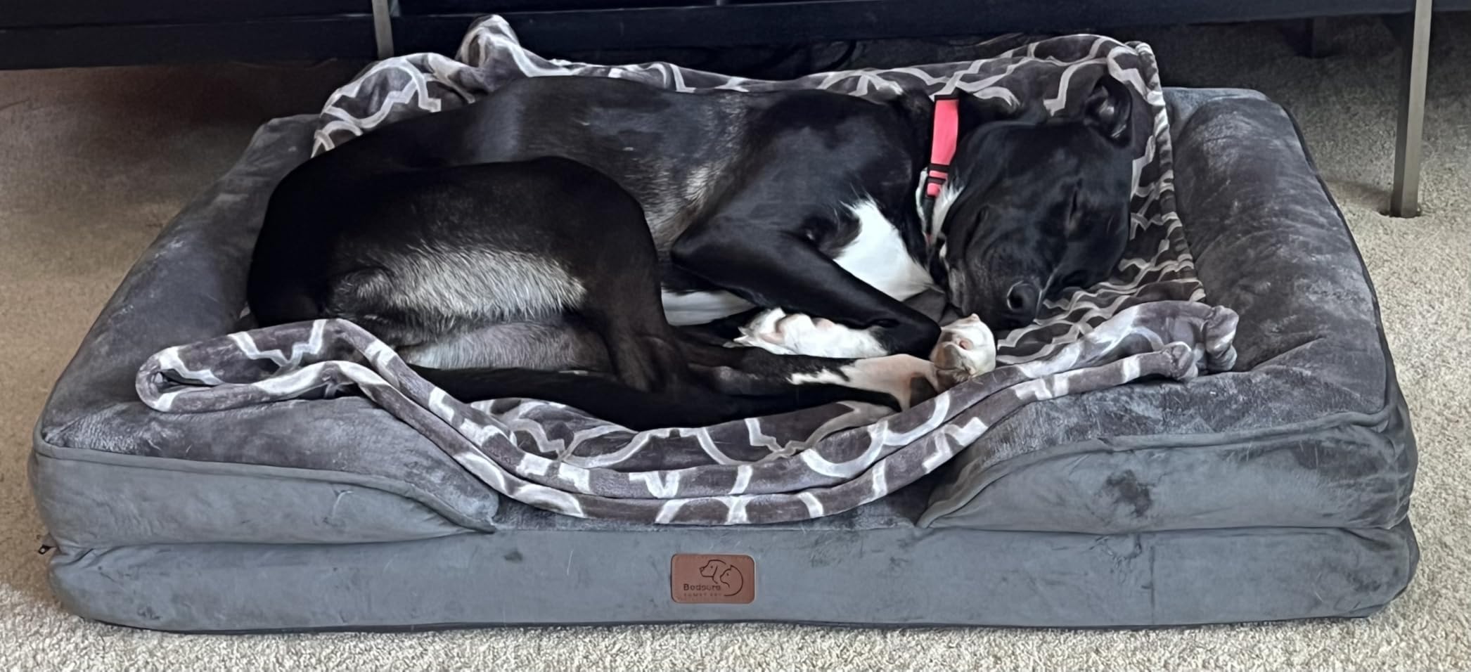 Bedsure Small Orthopedic Dog Bed - Washable Bolster Dog Sofa Beds for Small Dogs, Supportive Foam Pet Couch Bed with Removable Washable Cover, Waterproof Lining and Nonskid Bottom Couch, Dark Grey customer photo 2
