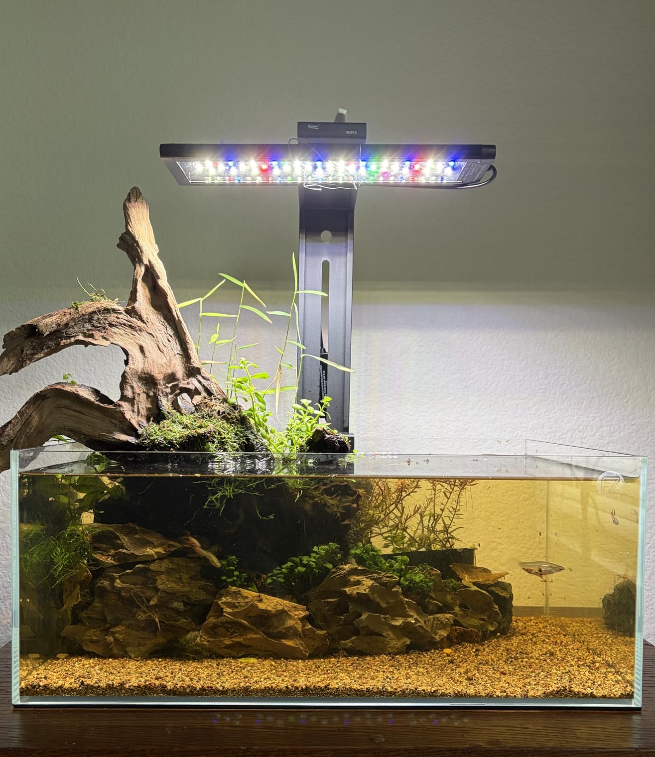FZONE 6.4Gal Shallow Rimless Aquarium, Ultra-White Glass (L45-W30) customer photo 2