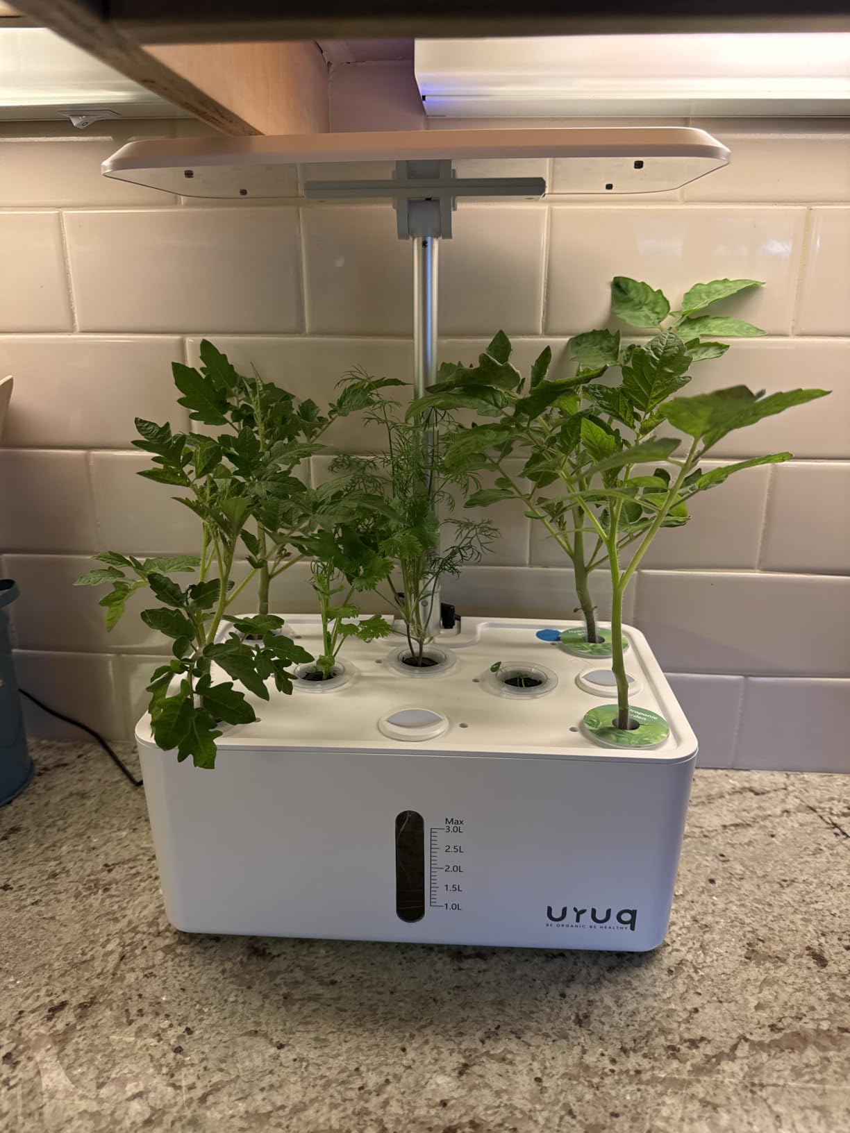 URUQ 8 Pods Hydroponics Growing System with LED Grow Light - White customer photo 1