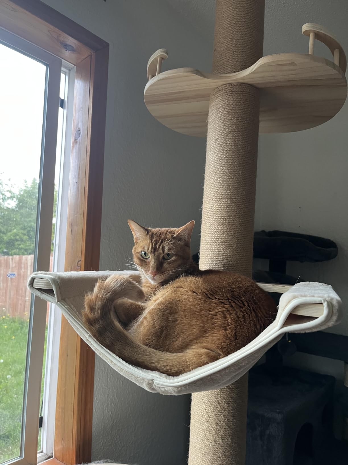 Floor-to-Ceiling Cat Tree with Natural Sisal Rope Scratching Post - Adjustable Height (55-119 Inches) - Modern Cat Activity Tree, Cat Scratcher Post customer photo 1