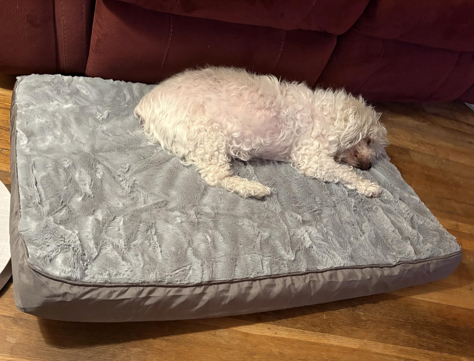 KSIIA Orthopedic Dog Bed for Large Dogs with Waterproof Lining, Grey, 35x22 customer photo 1