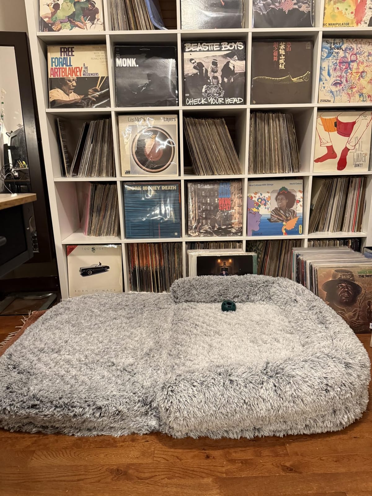 EHEYCIGA Orthopedic Foldable Human Dog Bed - 72x44x11, Grey customer photo 2