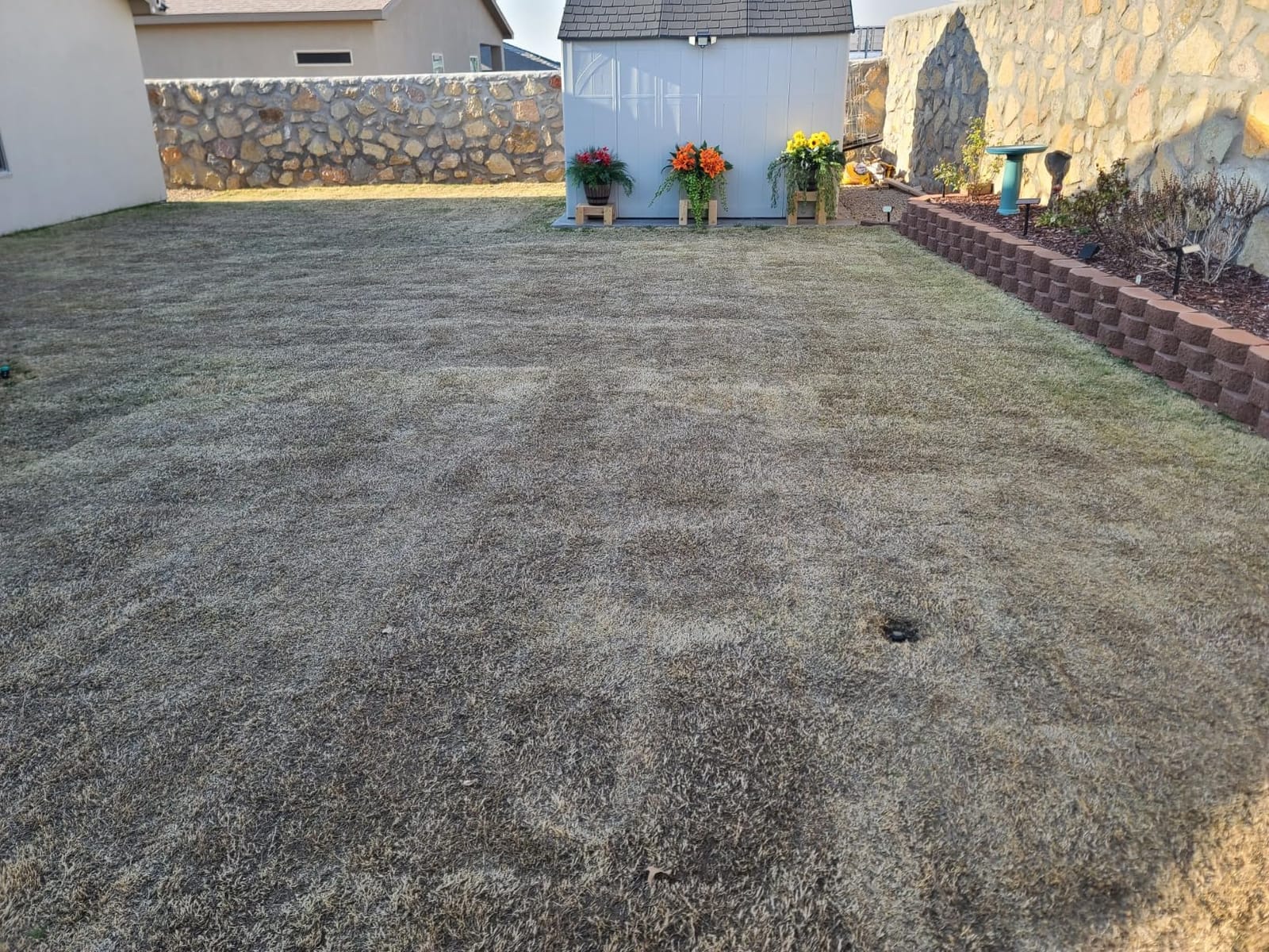 WEN 20V Max Cordless 15-Inch 2-in-1 Brushless Electric Dethatcher and Scarifier with Collection Bag, Two 4.0 Ah Batteries, and Dual-Port Charger (20716) customer photo 1