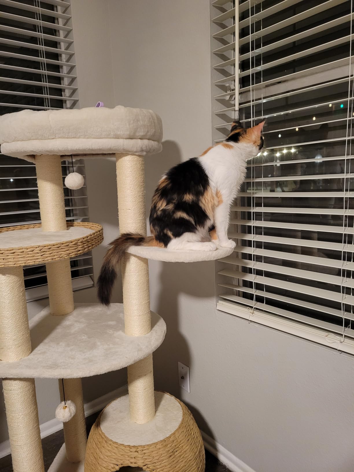 KAMABOKO Solid Wood Cat Tree, 69” Large Tall Cat Tower Multi-Level Platforms with Sisal Scratching Posts, Cat Tree for Large Cats 20 lbs Heavy Duty, Cat Condo Furniture for Active Cats customer photo 1