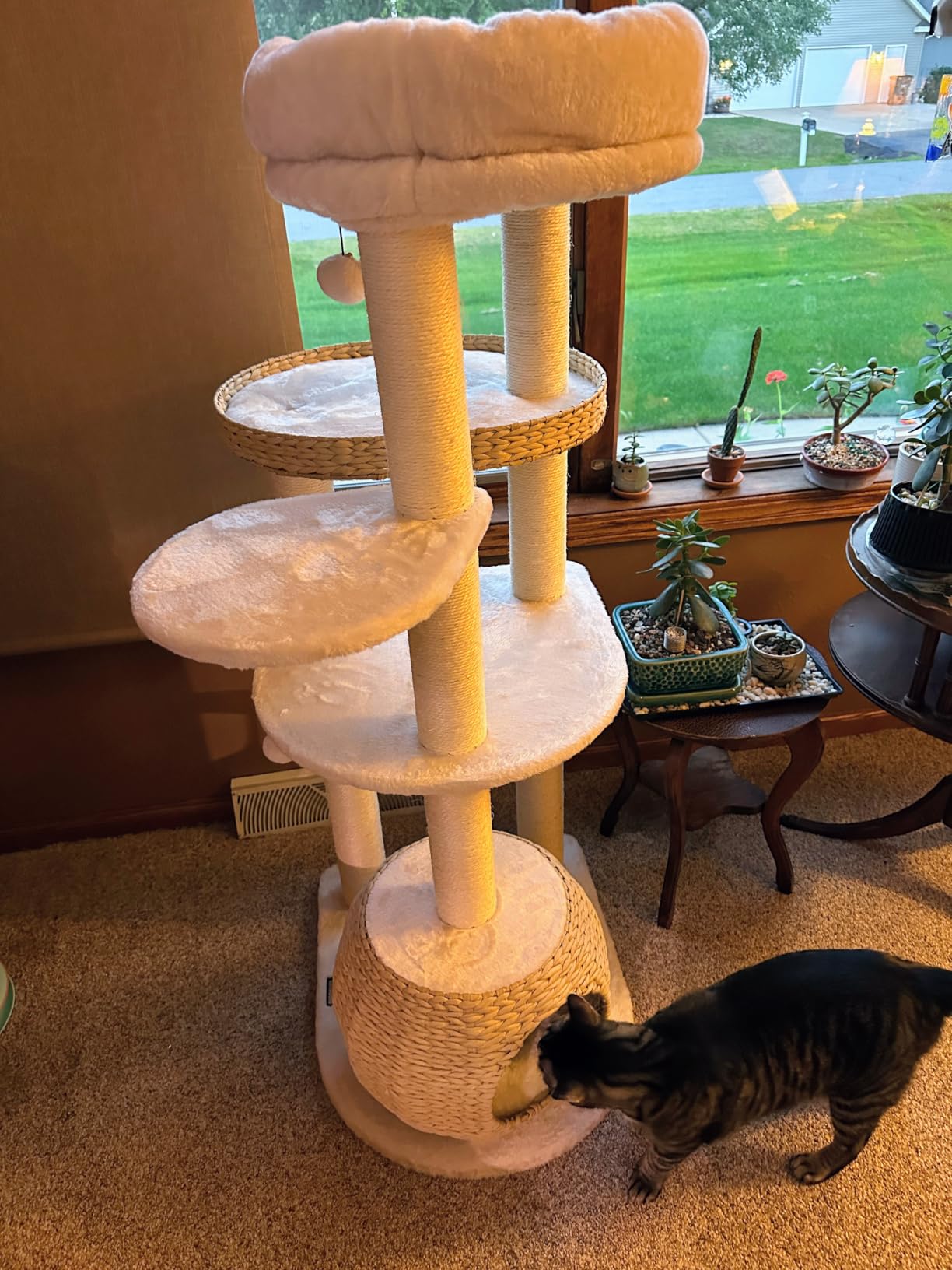 KAMABOKO Solid Wood Cat Tree, 69” Large Tall Cat Tower Multi-Level Platforms with Sisal Scratching Posts, Cat Tree for Large Cats 20 lbs Heavy Duty, Cat Condo Furniture for Active Cats customer photo 2