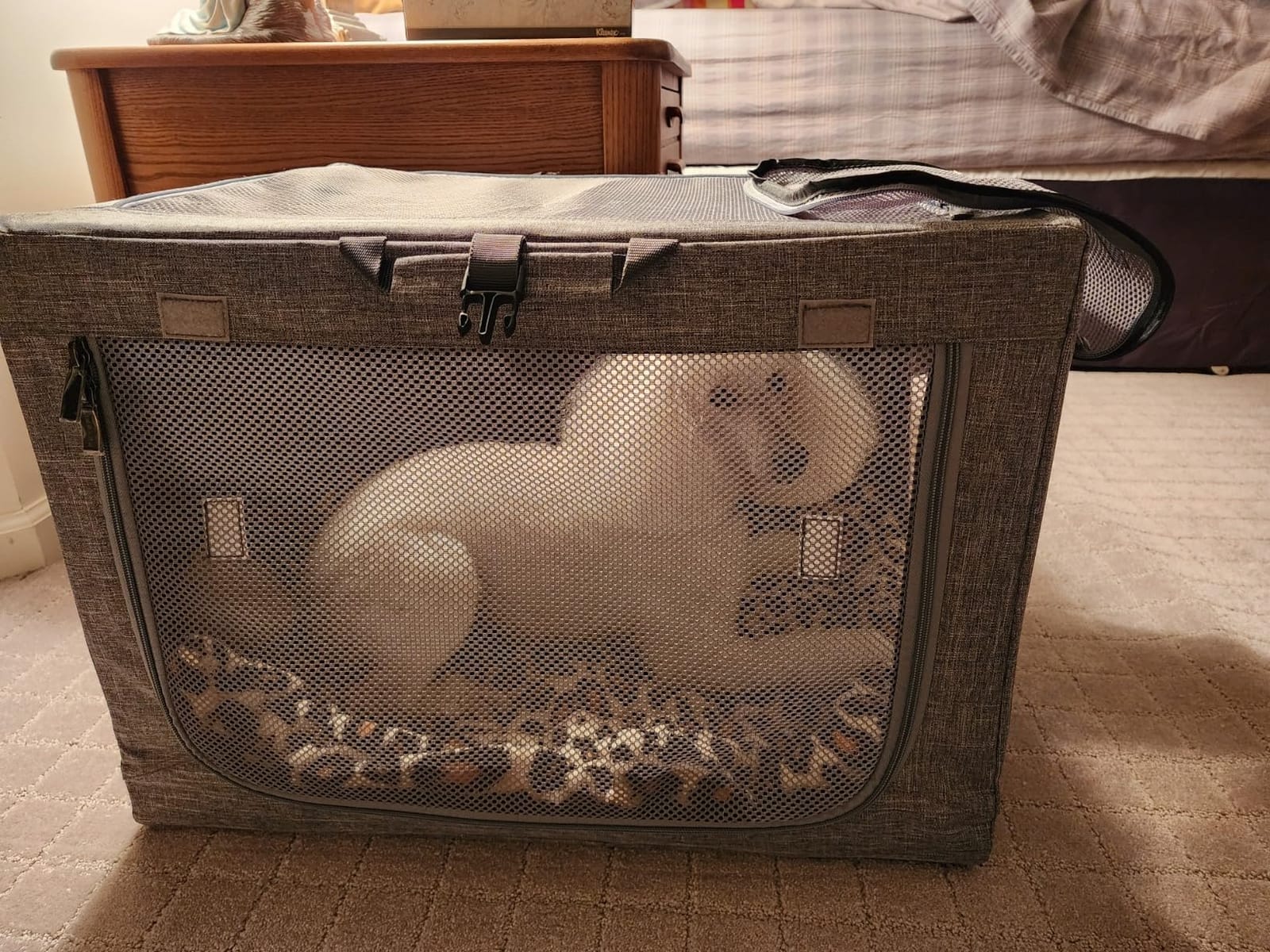 PETSFIT Portable Dog Crate for Small Dogs, – 24