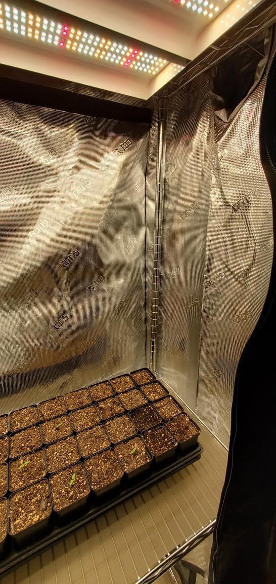 2x2.5 Fixed Height Indoor Grow Tent, 6'6
