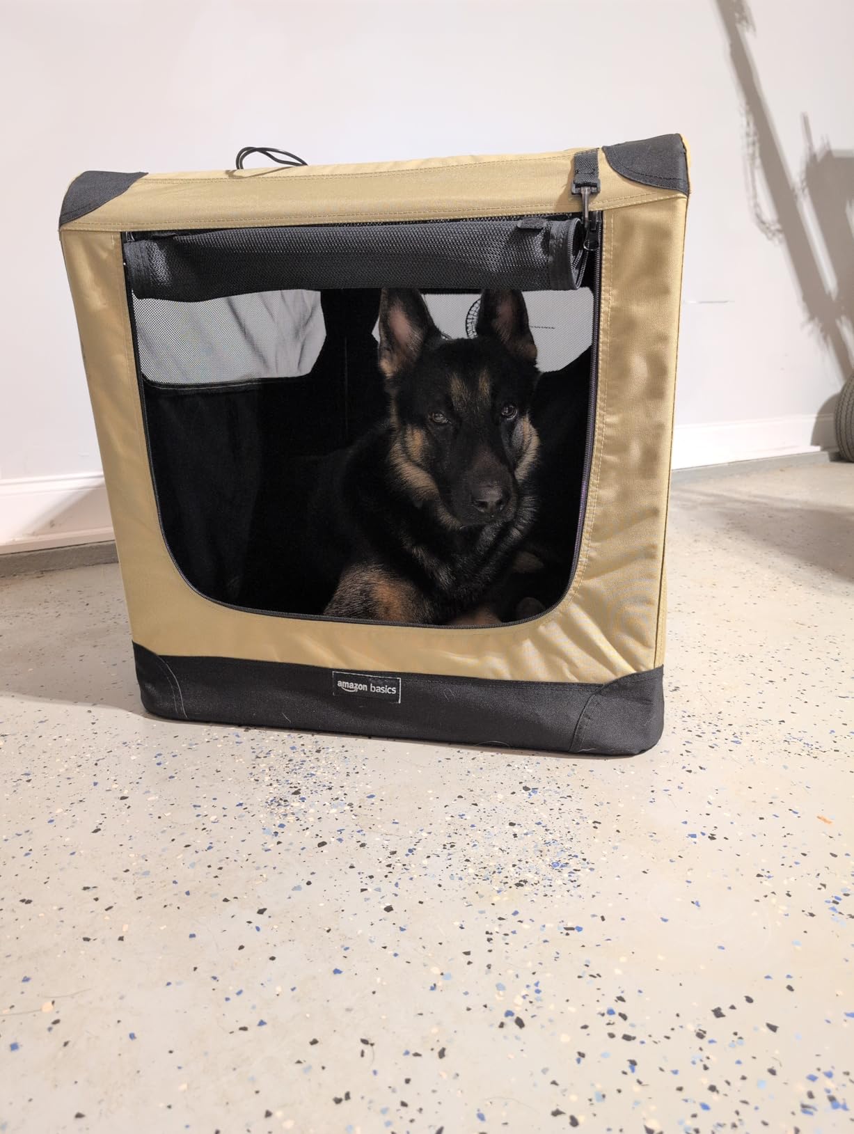 Amazon Basics Portable Folding Soft Dog Crate, 4-Doors, Collapsible Travel Kennel for Cat, Dog, and Small Animals, Quick Setup, Small 26