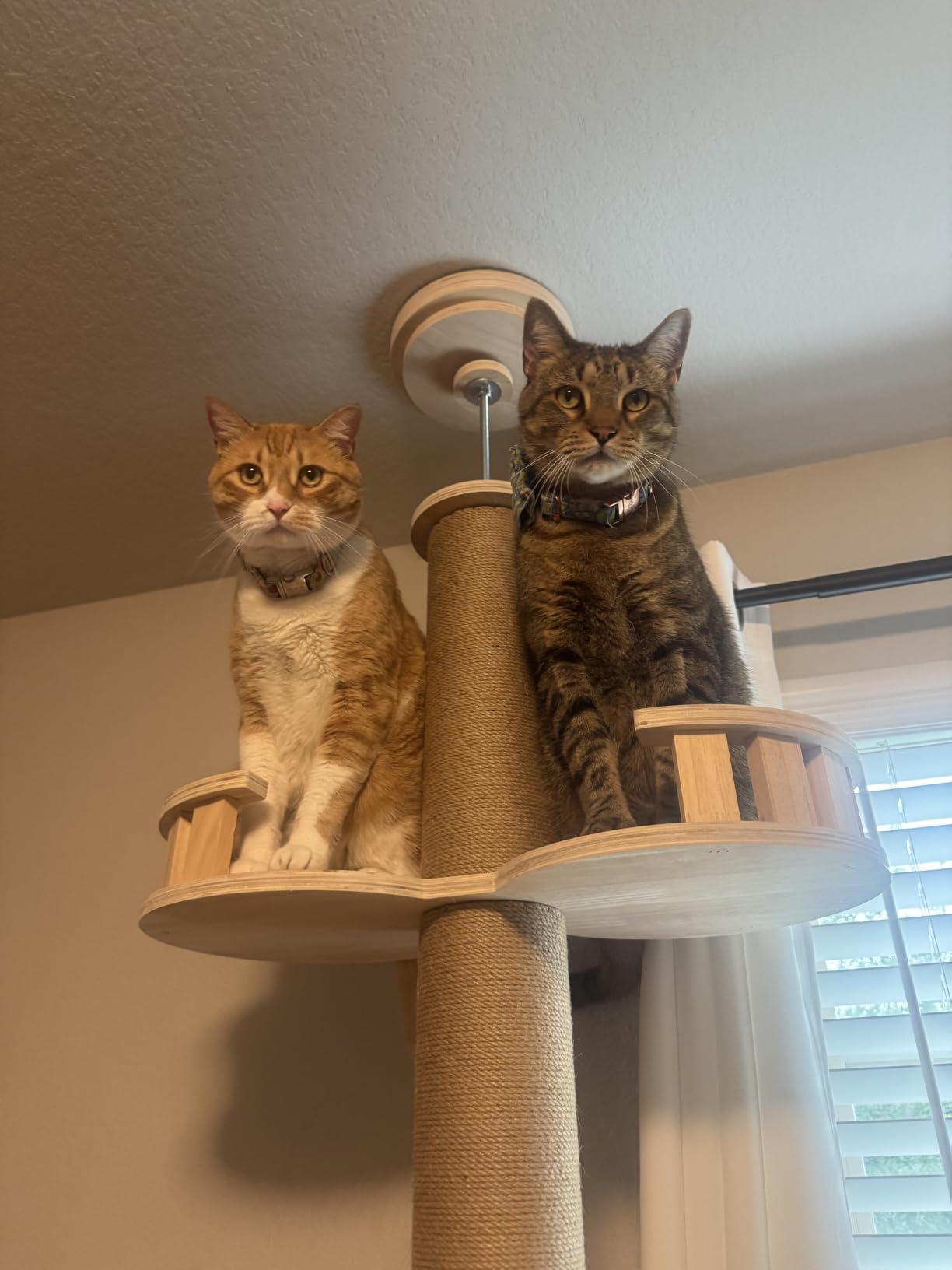 Veehoo Floor to Ceiling Cat Tree,102-122