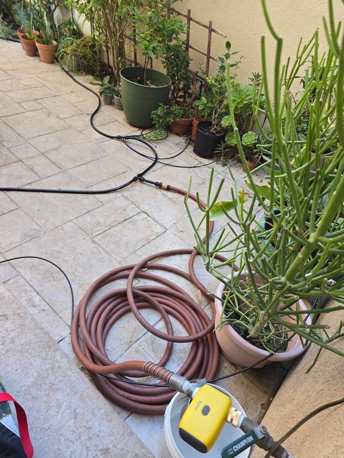Drip Irrigation Kit for Garden, Quick-Connect Plant Watering System 150FT customer photo 1