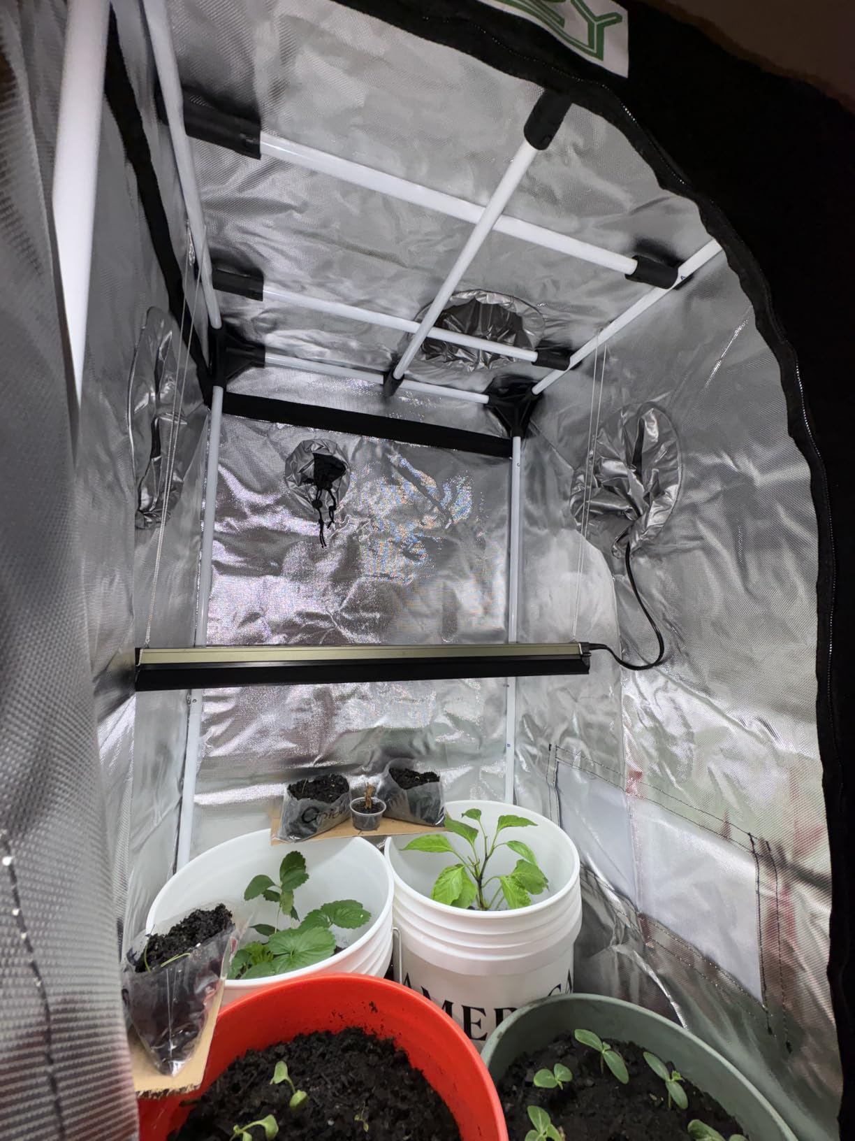 zazzy Hydroponic Grow Tent, 24