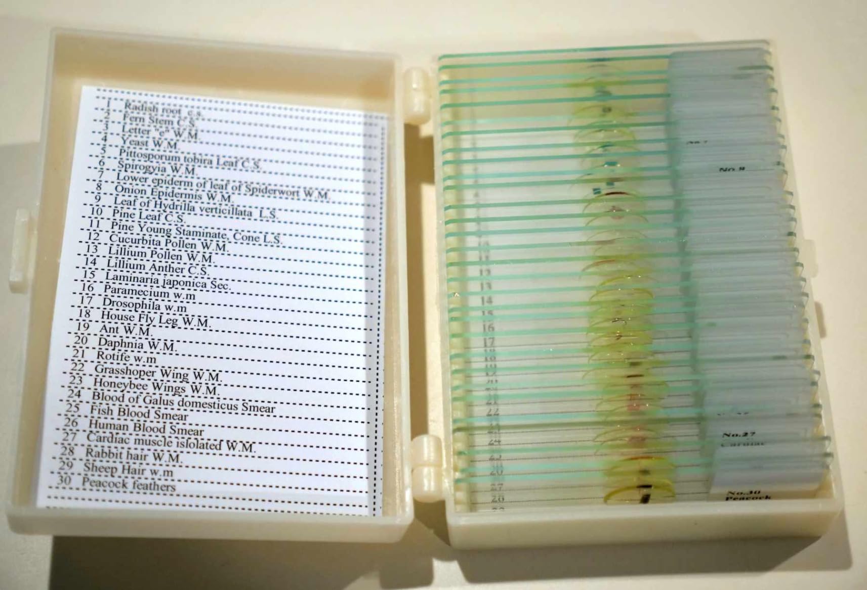 120 Microscope Slides with Specimens, Plant, Insect, Animal, Algae Slide Set for Biological Science Laboratory Basic Biological Science Education customer photo 1
