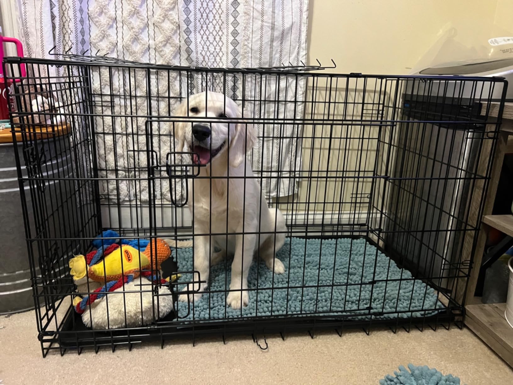Yaheetech 36in Double Door Metal Dog Crate w/Divider for Puppy Indoor Use customer photo 2