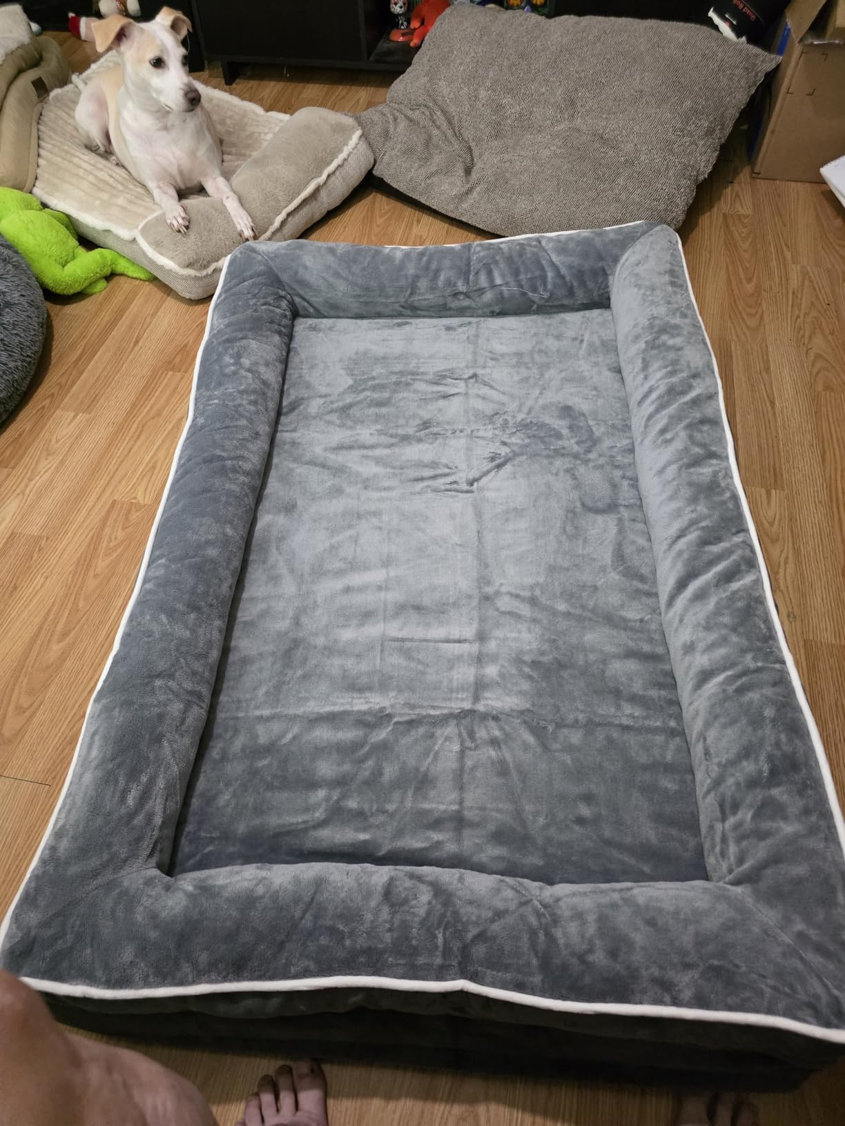 Upvilla Orthopedic Dog Bed, Four-Sided Small Dog Sofa, Washable Cover Gray customer photo 1