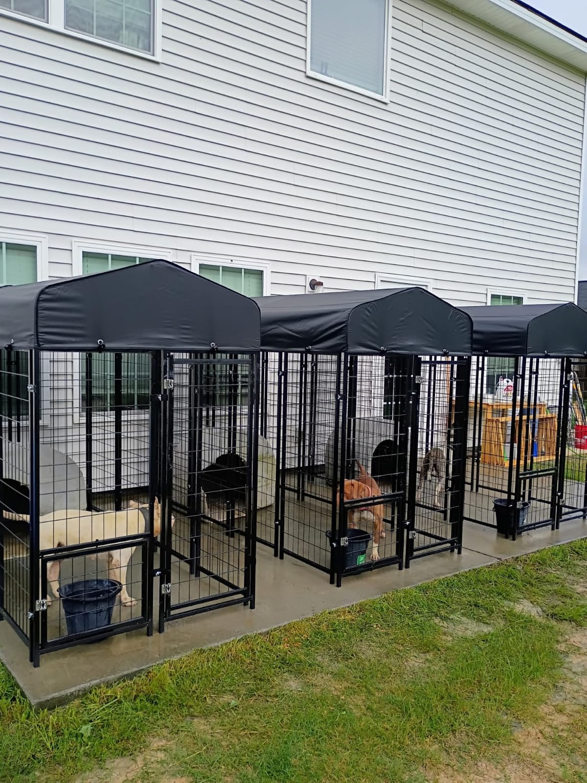 Sino Luban 2PCS Outdoor Dog Kennel Outside Run with Doggy Door, Swivel Feeder&Roof - 8x4x6FT Large Dog Kennels Pens Outside for Large Dogs Breed - Heavy Duty Cage (Can Connect to Your Dog House) customer photo 2