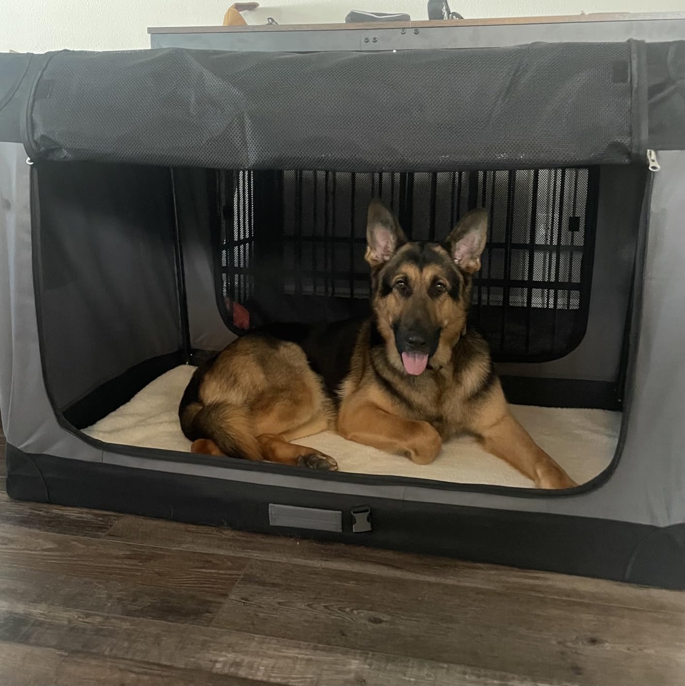 Feandrea Collapsible Dog Crate, Portable Oxford Fabric Pet Carrier, 36-Inch customer photo 1