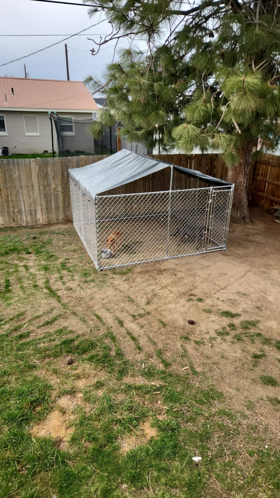 10 x 10 x 6.56 ft Outside Dog Kennel Outdoor Large with Roof, Enclosure with Roof, Outdoor Heavy Duty Dog Run Pens House Pet Playpen with Galvanized Chain Link customer photo 1