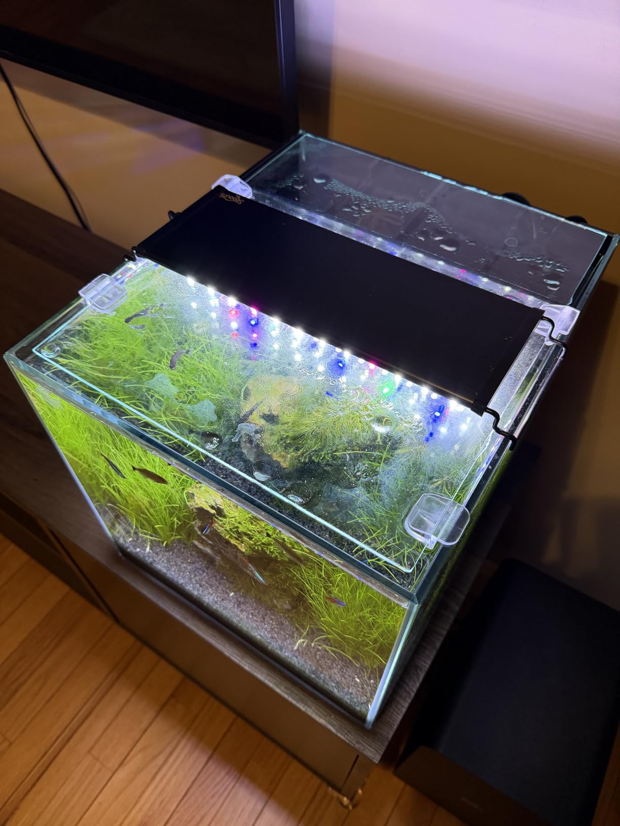 Coralland 8-Gallon Saltwater Aquarium - Ultra Clear Low Iron Glass, 45° Angled Joint Design, Crystal Clear Viewing, Perfect for Marine Fish & Reef Tanks & Freshwater customer photo 1