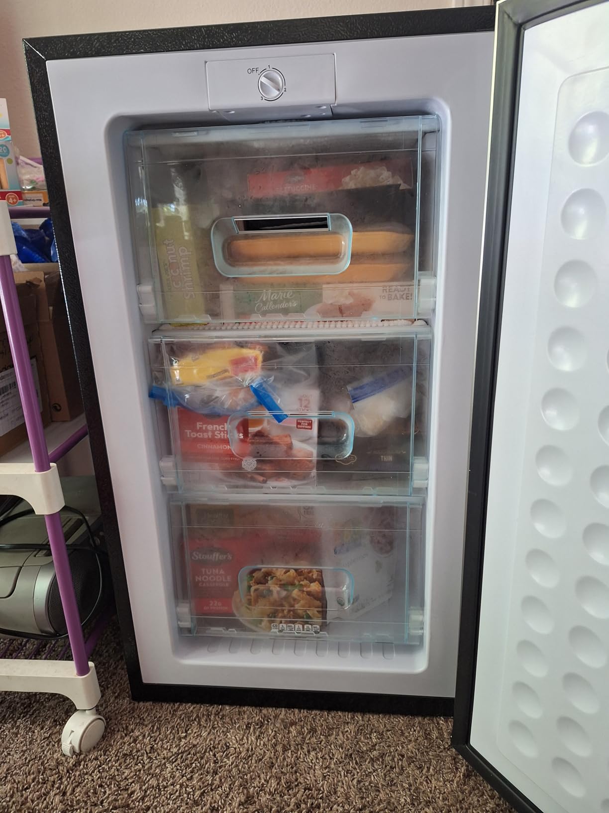 BODACIOUS 3.2 Cu.Ft Mini Freezer - Compact Upright Small Freezer - Silver customer photo 1
