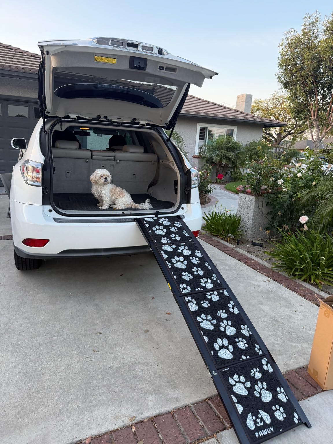 Upgraded Dog Ramp for Car 71