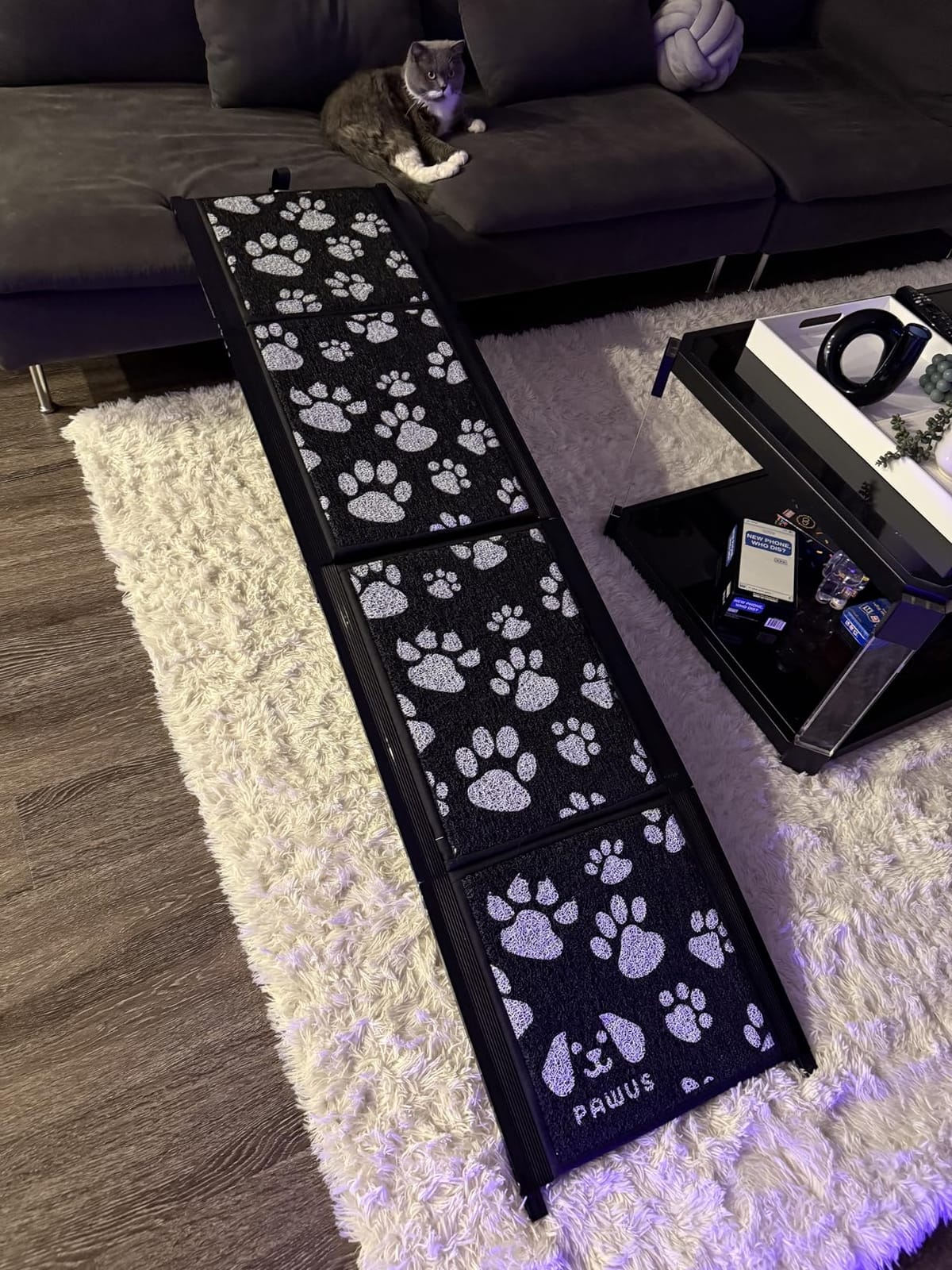 Upgraded Dog Ramp for Car 71