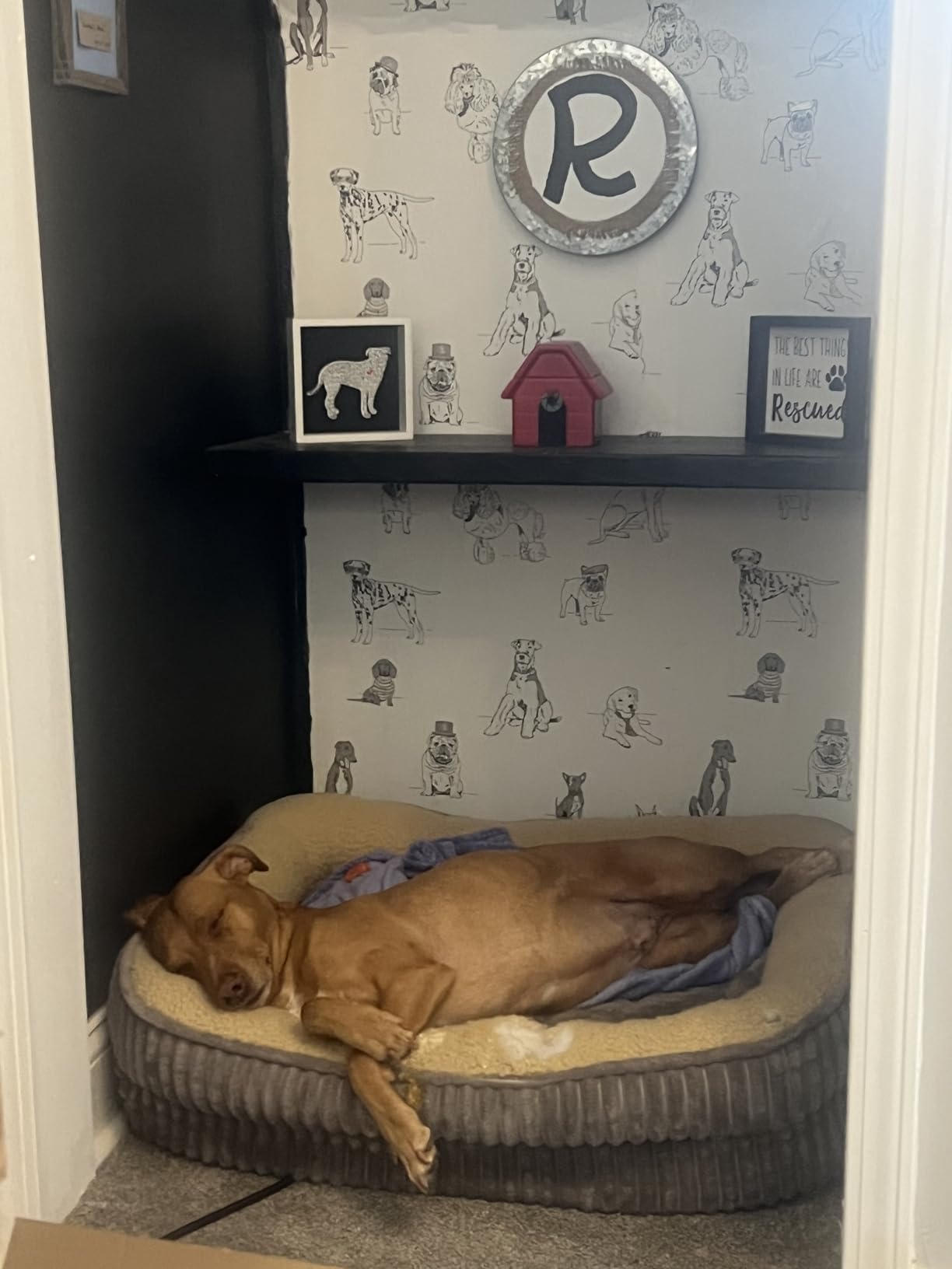 Orthopedic Dog Bed for Puppy,Extra Small Dogs Breeds,Oval Cat Bed,High Density Egg Crate Foam Dog Sofa Beds,Pet Couch Bed with Four Sided Bolster,Removable Washable Cover&Non-Slip Bottom customer photo 1