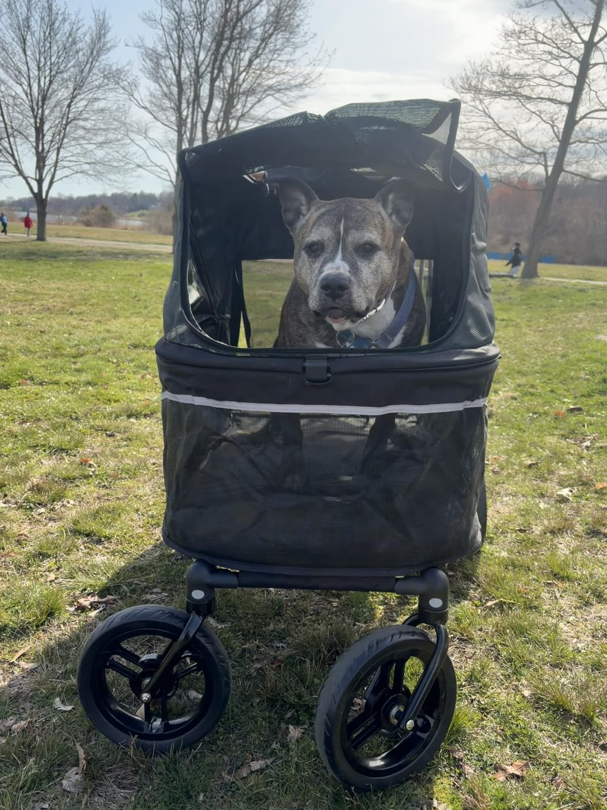 Zoosky Pet Stroller for Large Dogs up to 110lbs, Large Pet Stroller customer photo 1