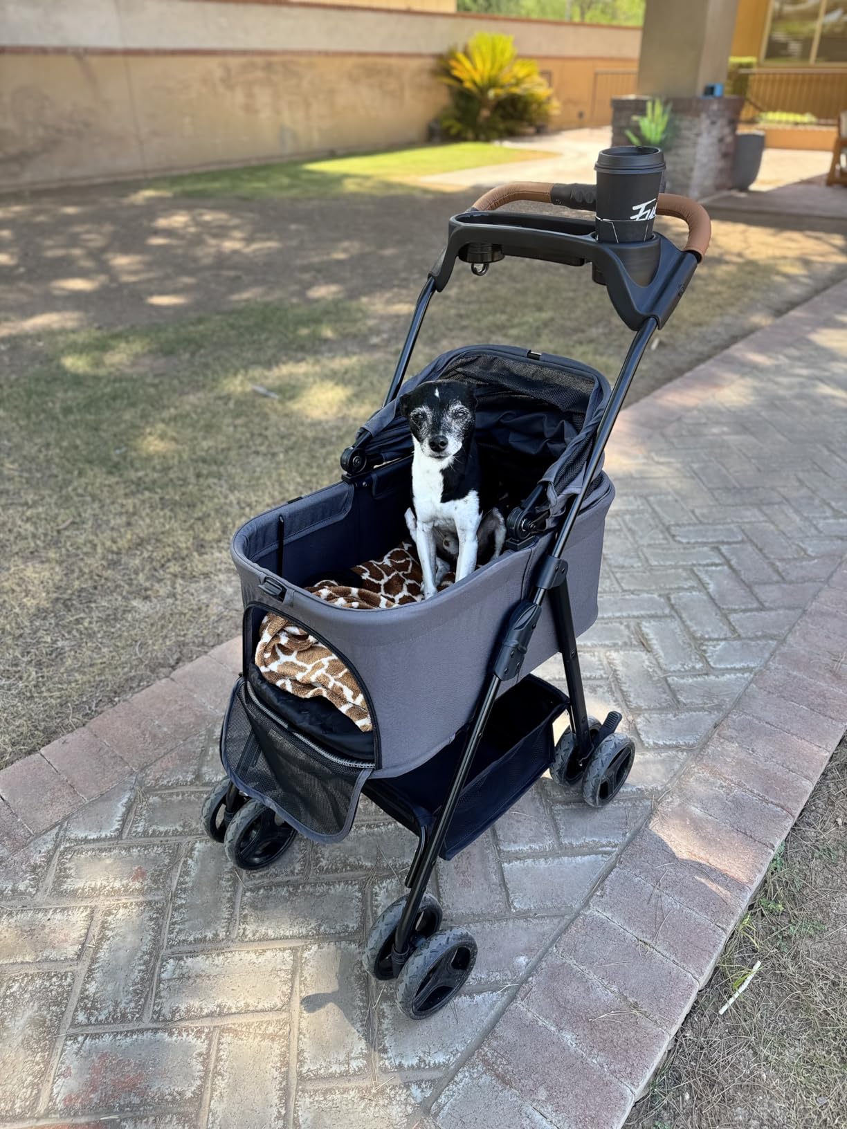 Zoosky 3 in 1 Dog Stroller, Folding Pet Stroller w/Removable Carrier customer photo 1